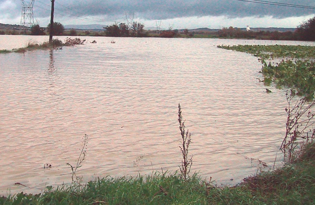 Zona inundable del Zaya